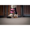 Picture of Le Mieux Mini Brushing Boots Watermelon XSmall
