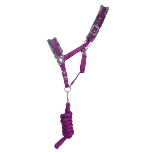 Picture of Hy Sport Active Headcollar & Lead Amethyst Purple