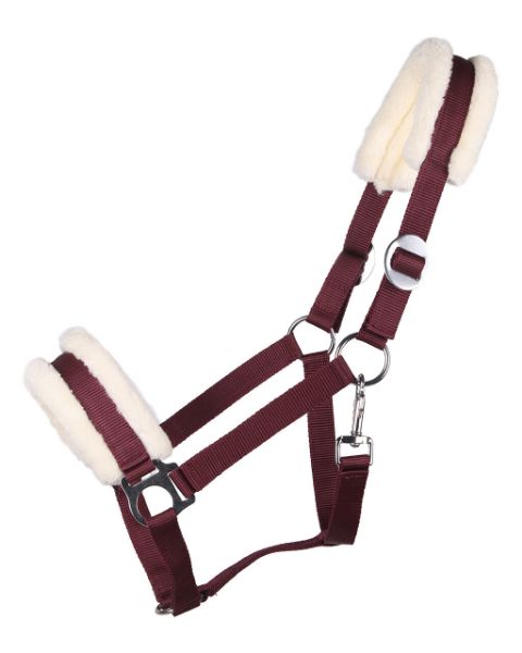 Picture of QHP Cali Headcollar Burgundy