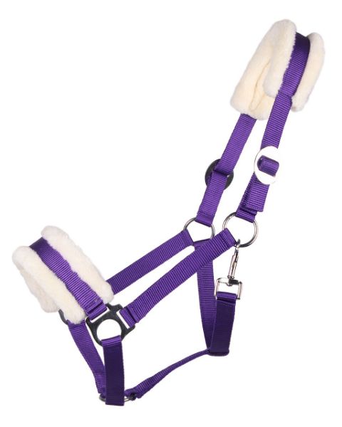 Picture of QHP Cali Headcollar Passion Flower