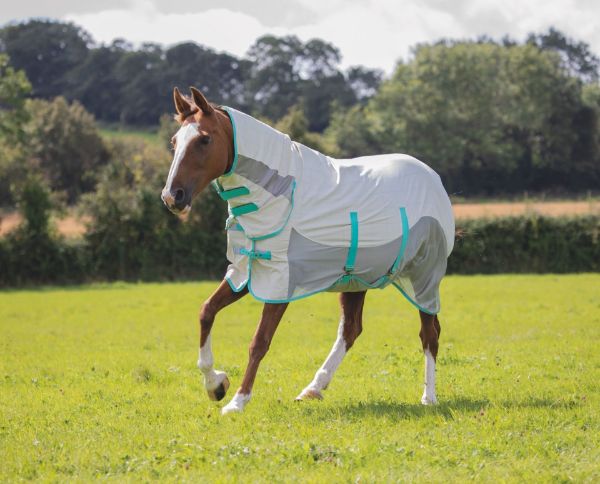 Picture of Shires Tempest Original Summer Shield With Mesh