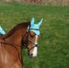 Picture of Weatherbeeta Prime Marble Ear Bonnet Turquoise Swirl Marble Print Pony