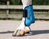 Picture of QHP Tendon Boots Rio Ice Blue