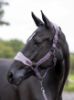 Picture of Le Mieux Vogue Fleece Headcollar & Leadrope Musk