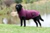 Picture of Weatherbeeta Comfitec Fleece Zip Dog Coat Maroon/Grey