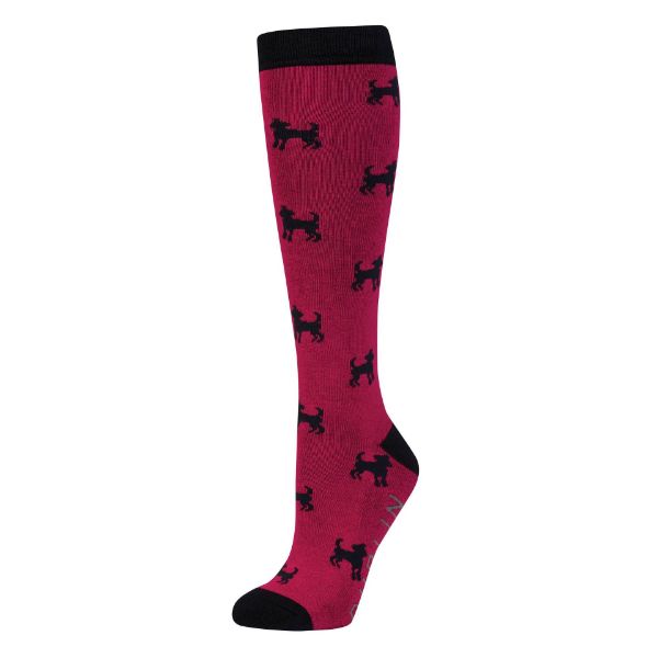 Picture of Dublin Adult Single Pack Socks Red Dog