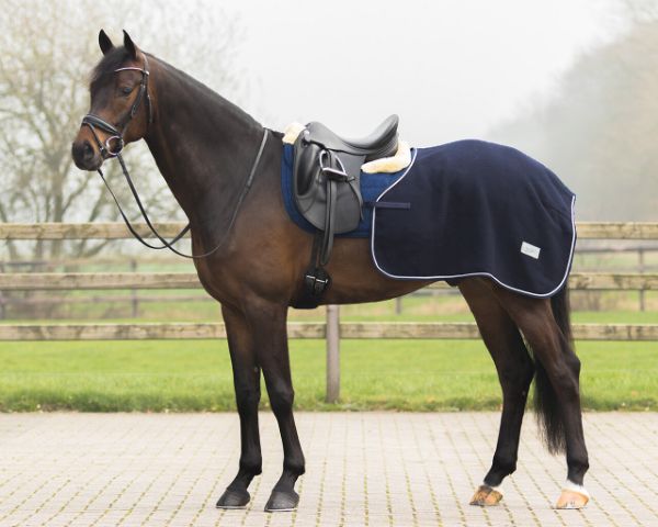 Picture of QHP Exercise Rug Wool Quarter Navy