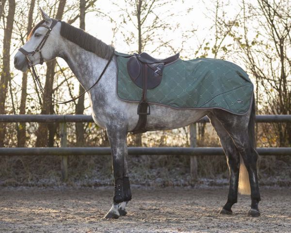 Picture of QHP Exercise Sheet Turnout Collection Fleece Stirrup