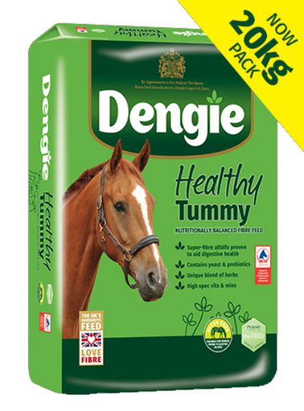 Picture of Dengie Healthy Tummy 20kg