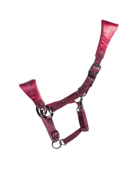 Picture of QHP Head Collar Gloss Burgundy