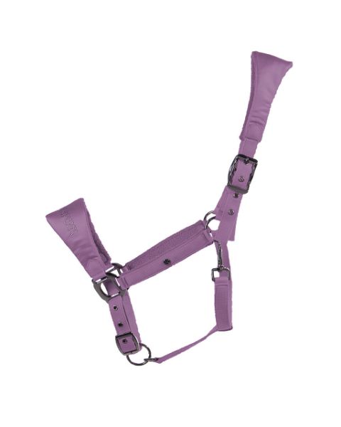 Picture of QHP Head Collar Gloss Sweet Grape