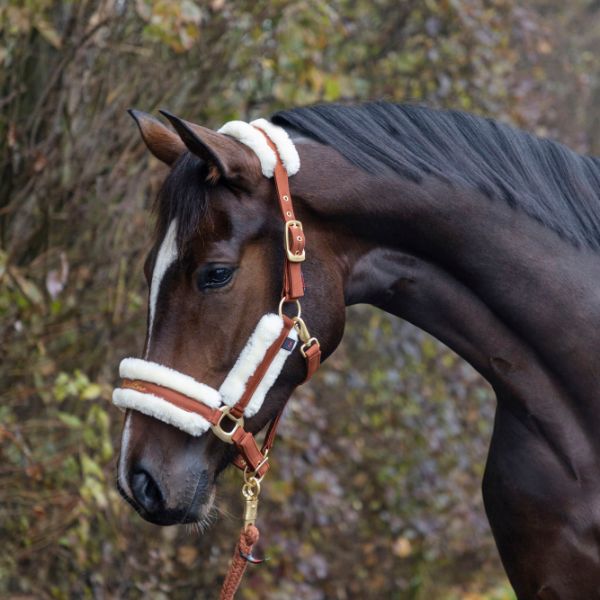 Picture of Covalliero Halter Dark Copper 