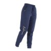 Picture of Aubrion Team Joggers Navy Blue