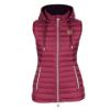 Picture of Aubrion Norwood Packaway Down Gilet Wine