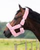 Picture of QHP Headcollar Alaska Pink