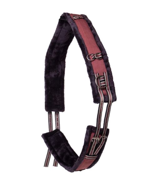 Picture of QHP Lunging Girth Collection Terra