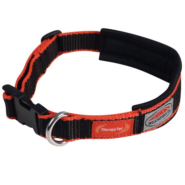 Picture of Weatherbeeta Therapy-Tec Dog Collar Black/Red S