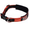 Picture of Weatherbeeta Therapy-Tec Dog Collar Black/Red XS
