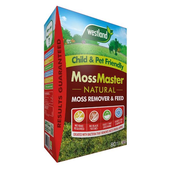 Picture of Westland Moss Master Box 80m2 
