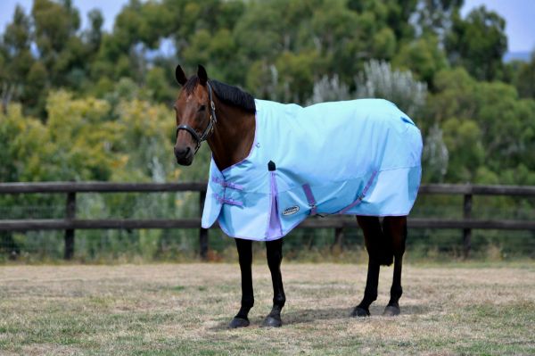 Picture of Weatherbeeta Comfitec Classic Standard Neck Medium/Lite 100g Light Blue/Purple 