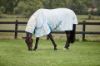 Picture of Weatherbeeta Summer Sheet Lite IV Combo Neck Seahorse