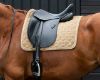 Picture of QHP Saddle Pad Orlando Beige DR Full