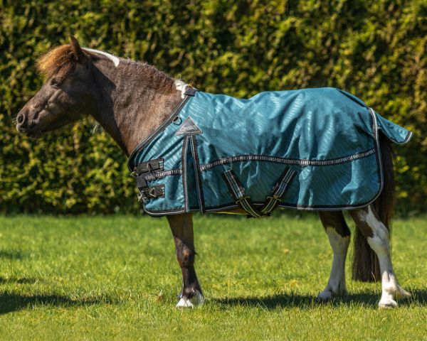 Picture of QHP Turnout Rug Falabella Collection 0g Wave