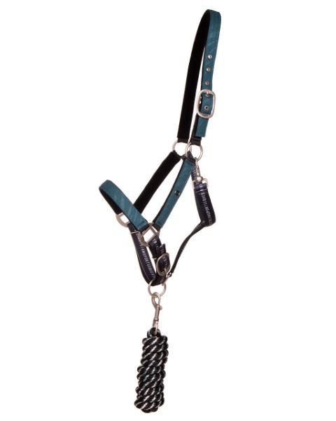 Picture of QHP Headcollar Set With Turnout Collection Wave
