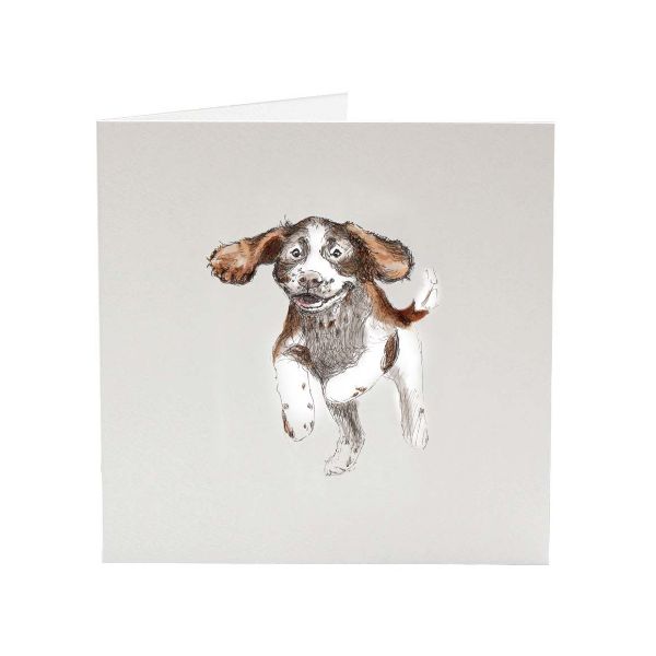 Picture of SJ Vickery Greeting Card - English Springer Spainel- Zavier