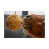 Picture of LK Likit Granola Stall Ball Apple 1.6kg