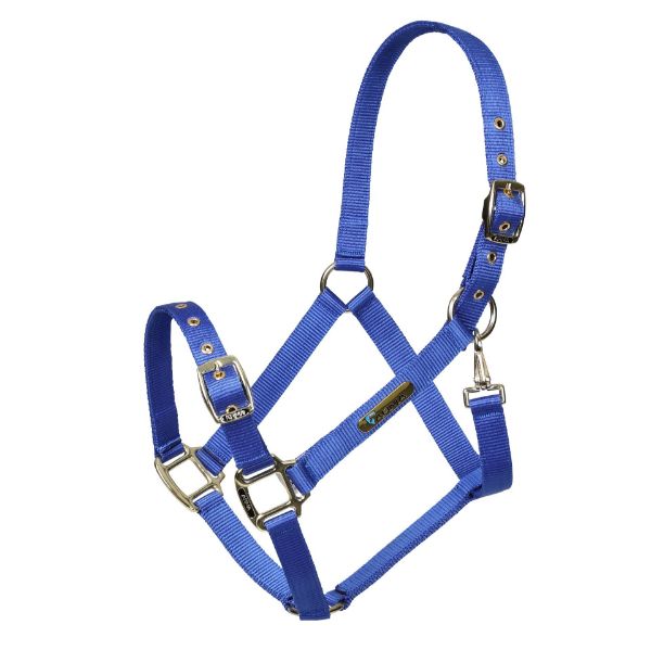 Picture of Shires ARMA Adjustable Headcollar Blue