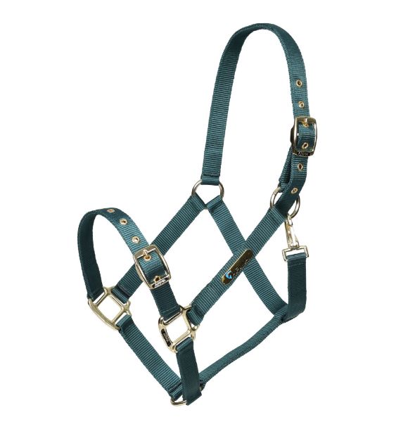 Picture of Shires ARMA Adjustable Headcollar Green