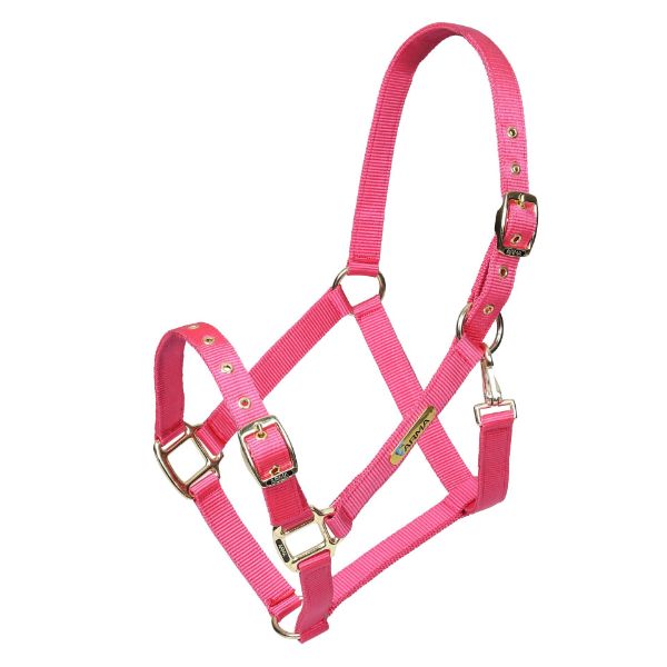 Picture of Shires ARMA Adjustable Headcollar Pink