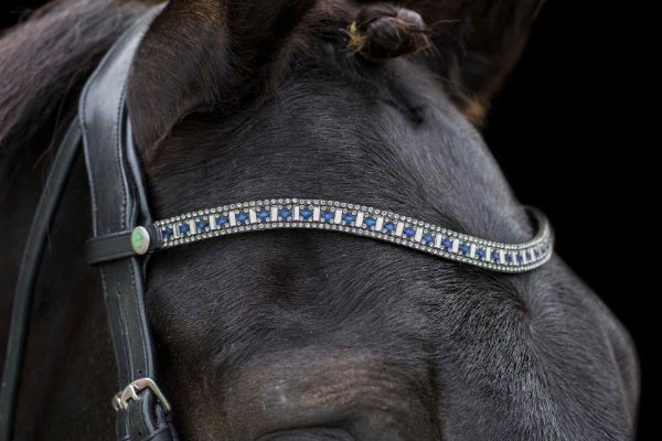Picture of Eco Rider Freedom Sapphire Browband Black