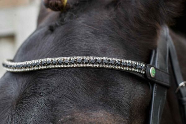 Picture of Eco Rider Juliette Browband Black