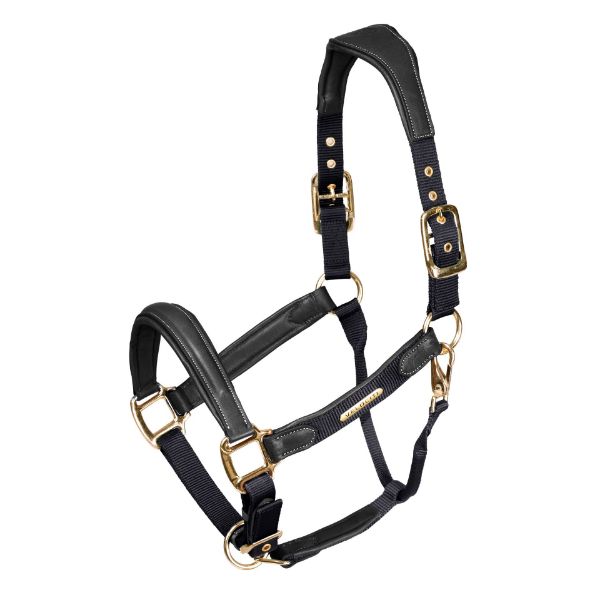 Picture of Shires Velociti Lusso Padded Leather Headcollar Black