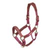 Picture of Shires Velociti Lusso Padded Leather Headcollar Burgundy