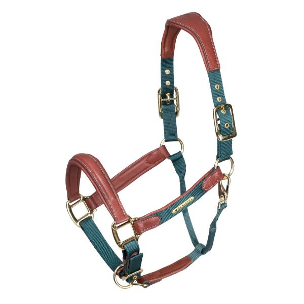 Picture of Shires Velociti Lusso Padded Leather Headcollar Green