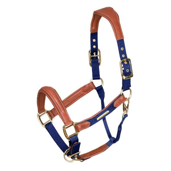 Picture of Shires Velociti Lusso Padded Leather Headcollar Navy
