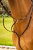 Picture of Le Mieux Arika Running Martingale Brown / Silver