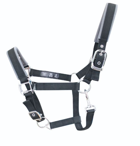 Picture of Woof Wear Contour Headcollar Black
