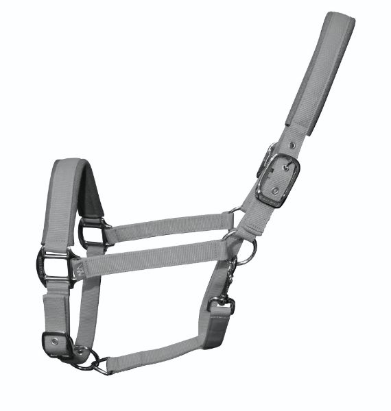Picture of Woof Wear Contour Headcollar Brushed Steel