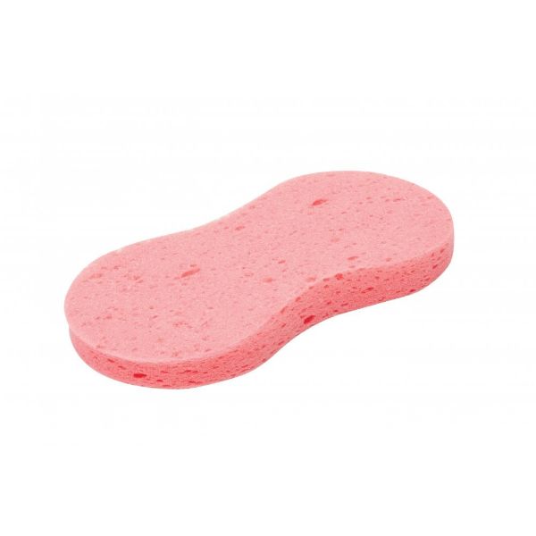 Picture of Roma Sponge Bright Pink