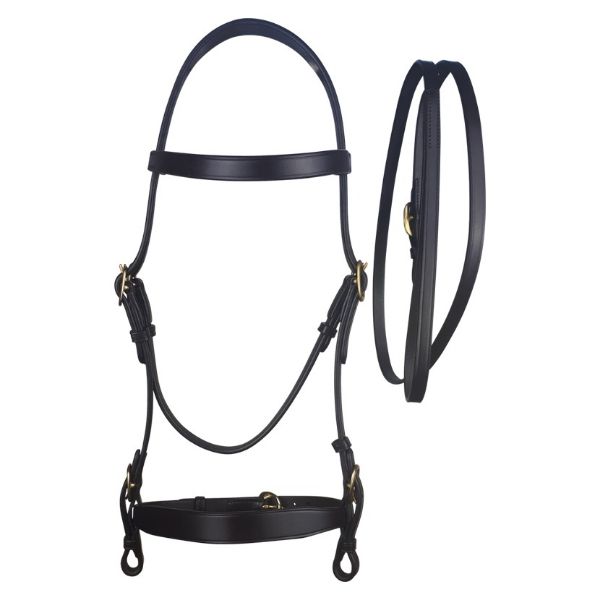 Picture of Cameo Equine In Hand Bridle With Lead Black