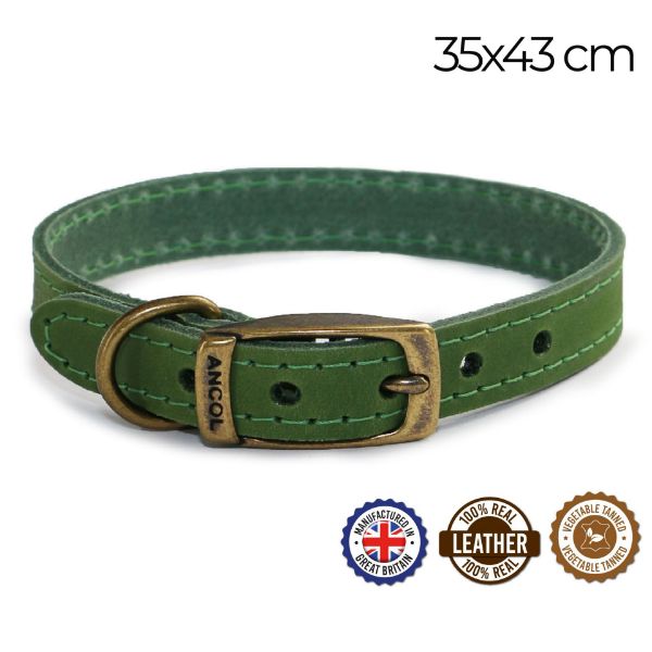 Picture of Ancol Timberwolf Leather Collar Green 35-43cm Size 4