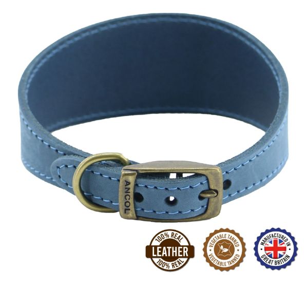 Picture of Ancol Timberwolf Greyhound Collar Blue 34-43cm Size 4