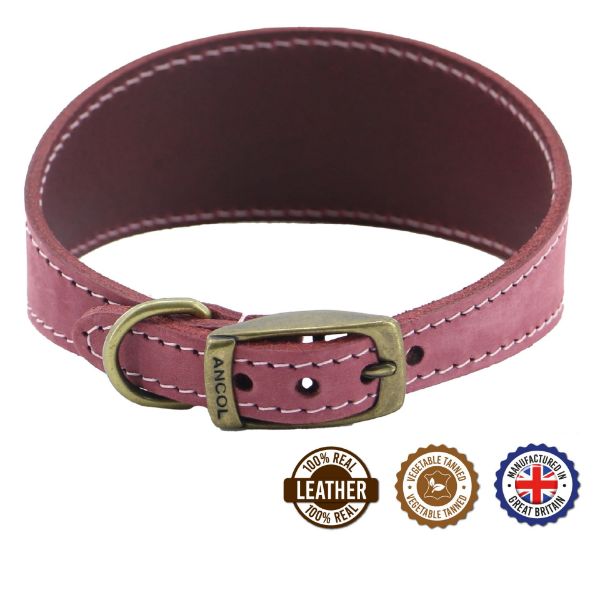 Picture of Ancol Timberwolf Greyhound Collar Raspberry 34-43cm Size 4