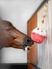 Picture of Le Mieux Horse Toy Cupcake