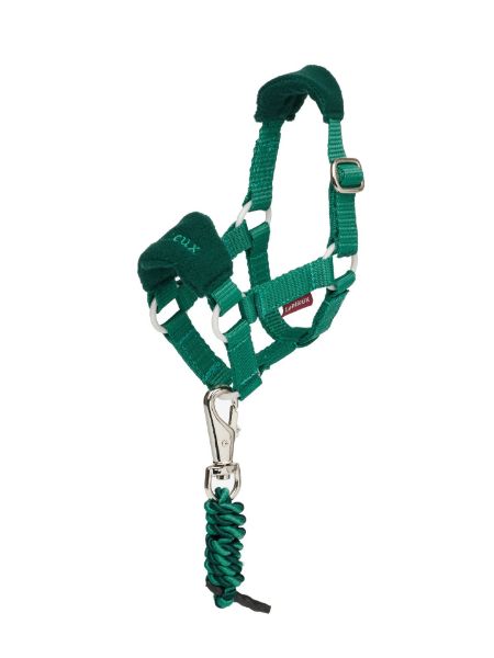 Picture of Le Mieux Toy Mini Pony Vogue Headcollar Evergreen