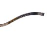 Picture of QHP Browband Gradient Collection Crocodile 